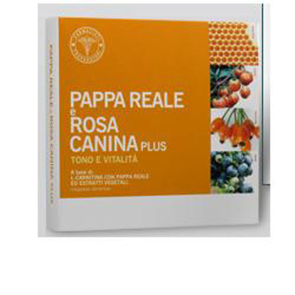 Immagine di PAPPA REALE ROSA CANINA 10 FLACONCINI 10 ML
