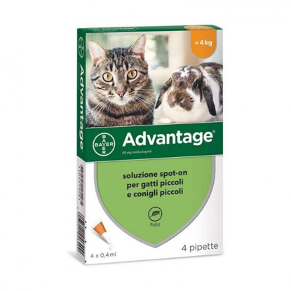 Immagine di ADVANTAGE spot-on 4 pipette da 0,4 ml 40 mg per gatti e conigli piccoli