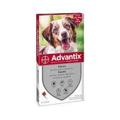 Immagine di ADVANTIX SPOT ON soluzione -  4 pipette 2,5 ml  per cani da 10 a 25 Kg