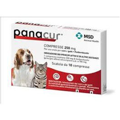 Immagine di PANACUR 10 cpr 250 mg per cani e gatti